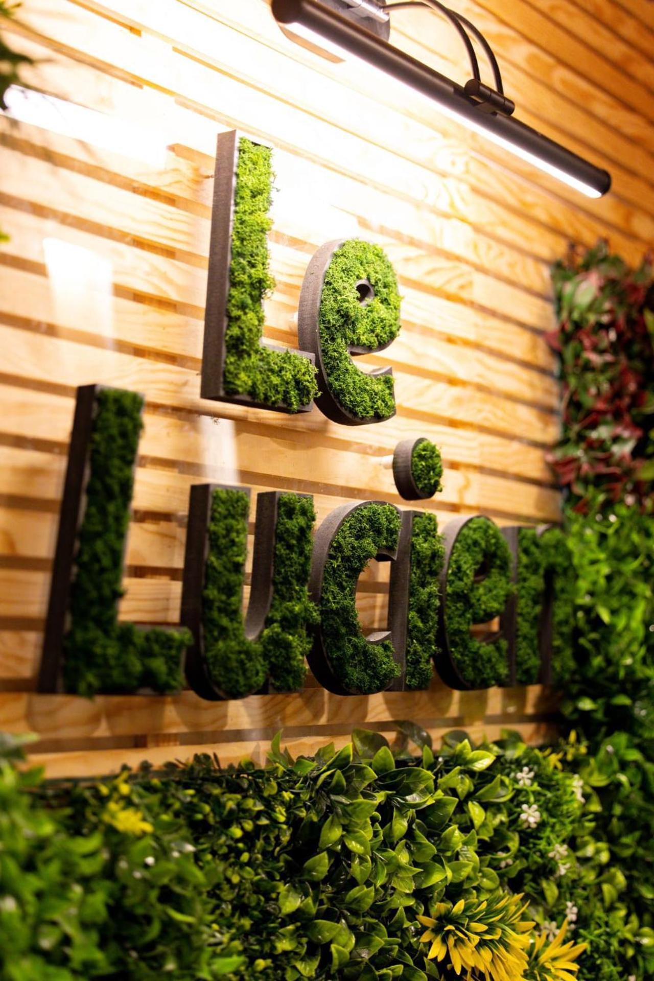 Le Lucien Eco-Appart'Hotel - Angouleme - Centre - Wifi - Parking Prive - Classe 4 Etoiles Екстер'єр фото