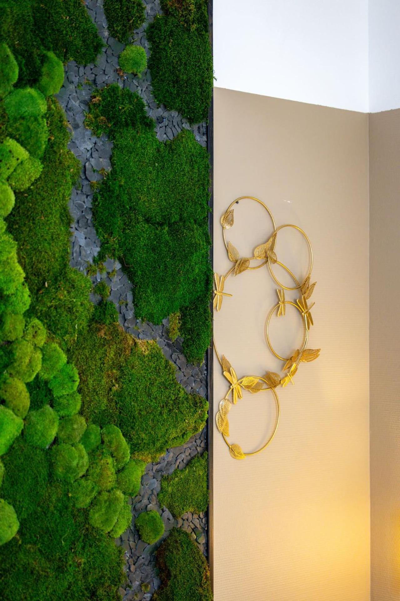 Le Lucien Eco-Appart'Hotel - Angouleme - Centre - Wifi - Parking Prive - Classe 4 Etoiles Екстер'єр фото
